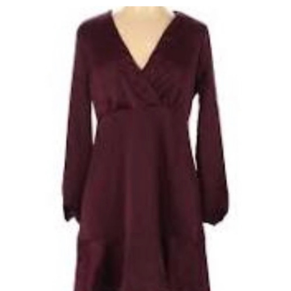 Zara dress